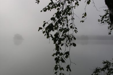 Statopia – suomalainen utopia?